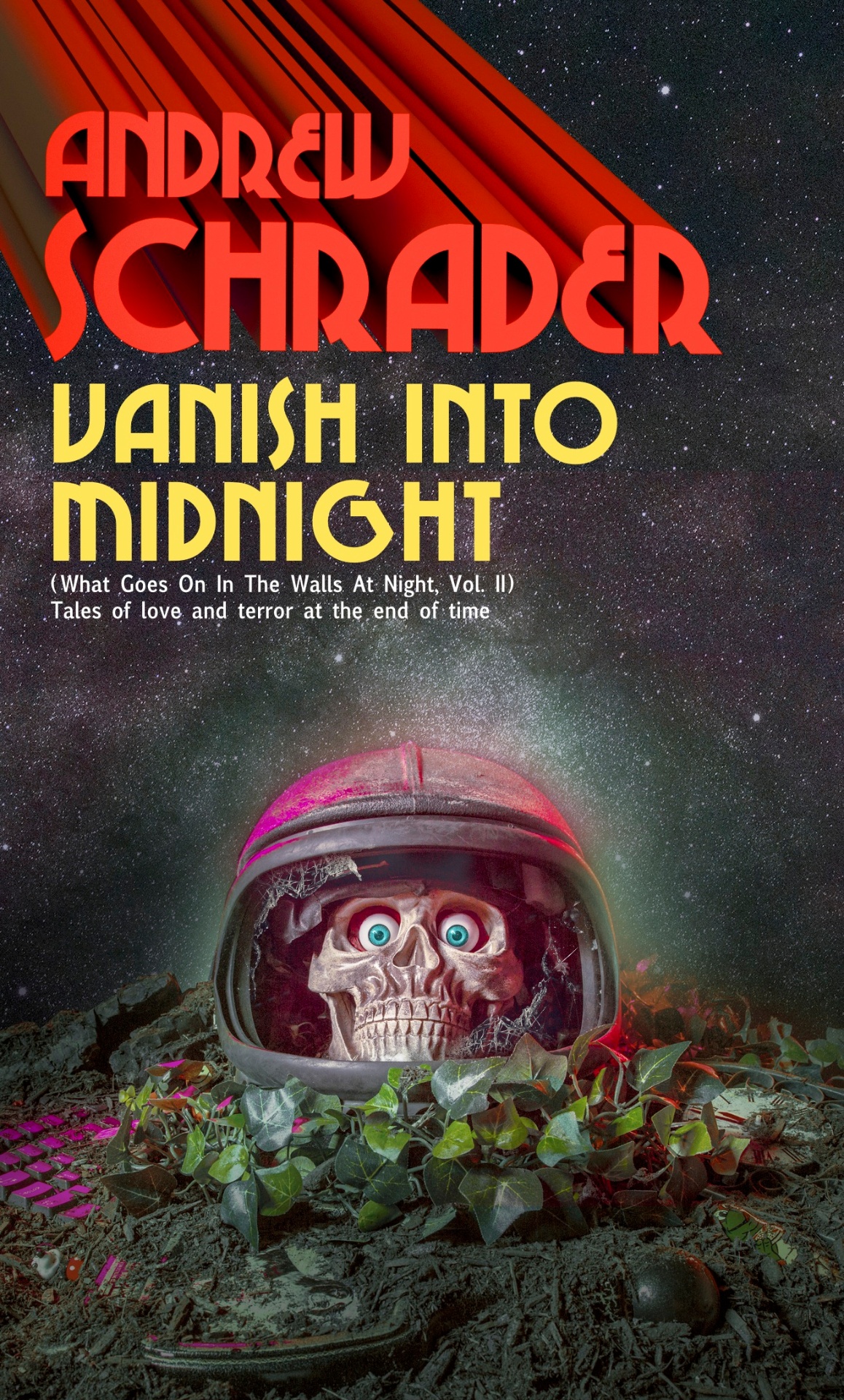 Cover of Vanish Into Midnight