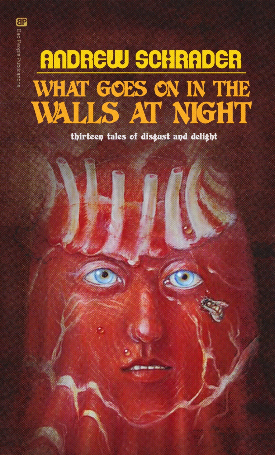 Cover of What Goes On In The Walls At Night